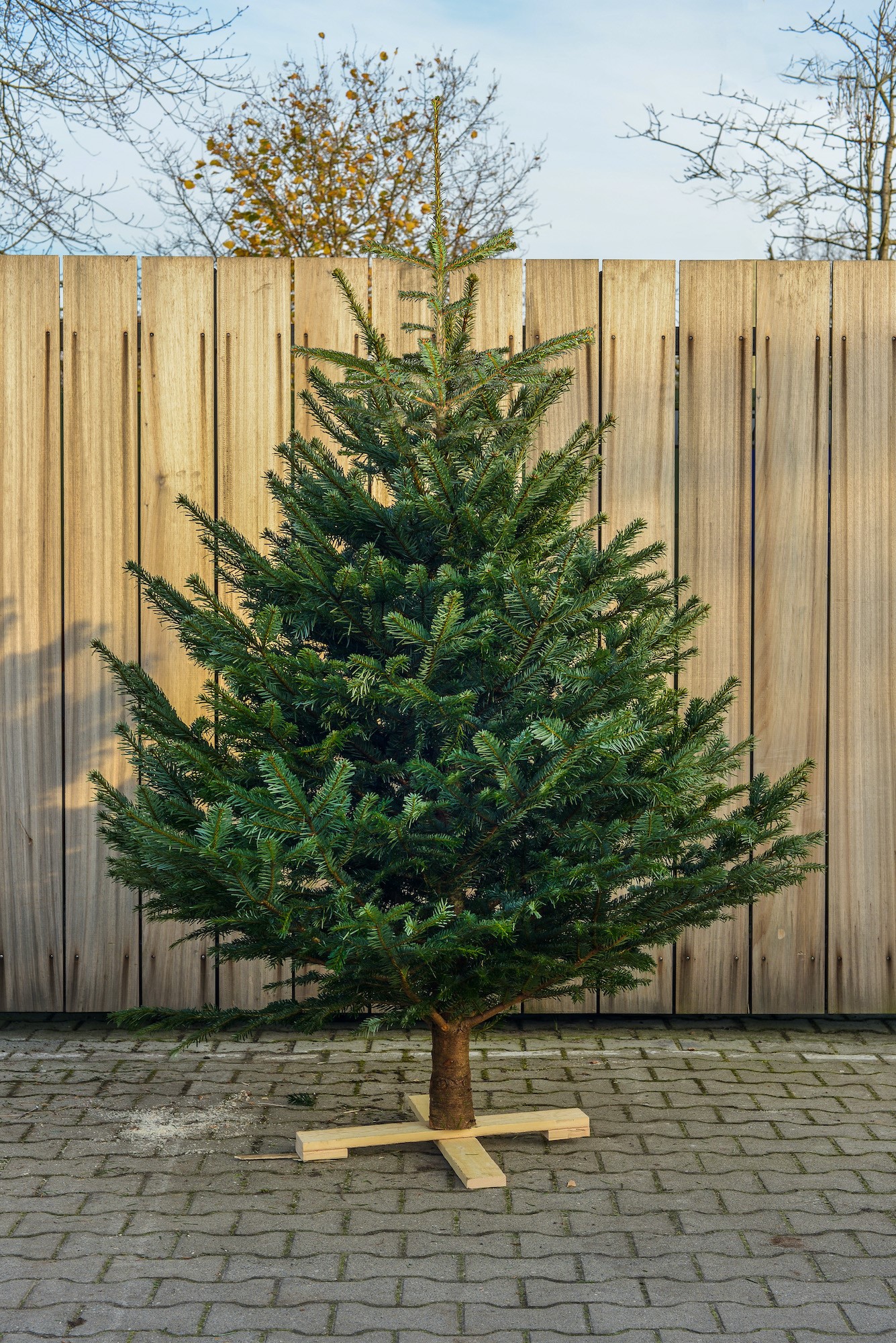 Milieuvriendelijk Rodeo hemel Nordmann Kerstboom 150 - 175 cm - DeKerstboomShop.nl